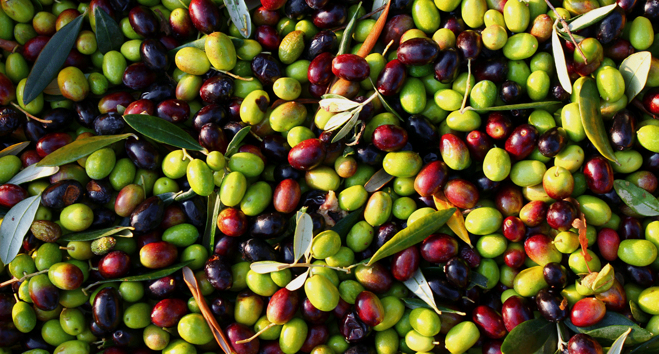 Il nostro territorio 